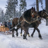Kulig na Kubalonce zimą